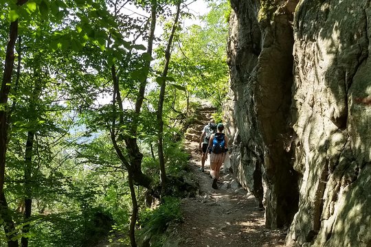 Tour image 6