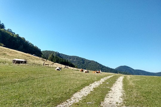 Tour image 5
