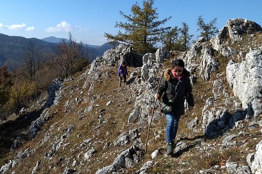Tour image 2