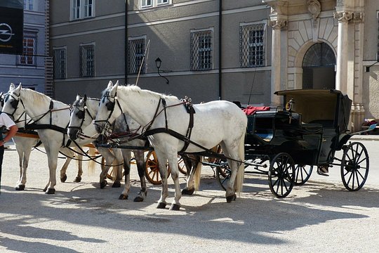 Tour image 4